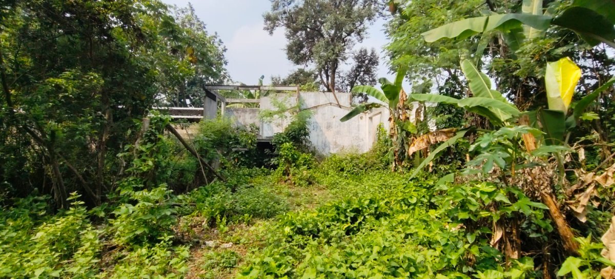 TANAH STRATEGIS DI JL. BARU KEMANG – SHOLEH ISKANDAR, BOGOR - Foto 7