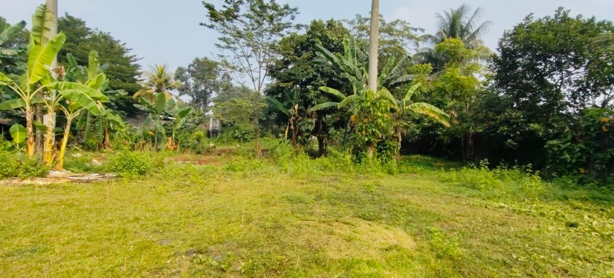 TANAH STRATEGIS DI JL. BARU KEMANG – SHOLEH ISKANDAR, BOGOR - Foto 11