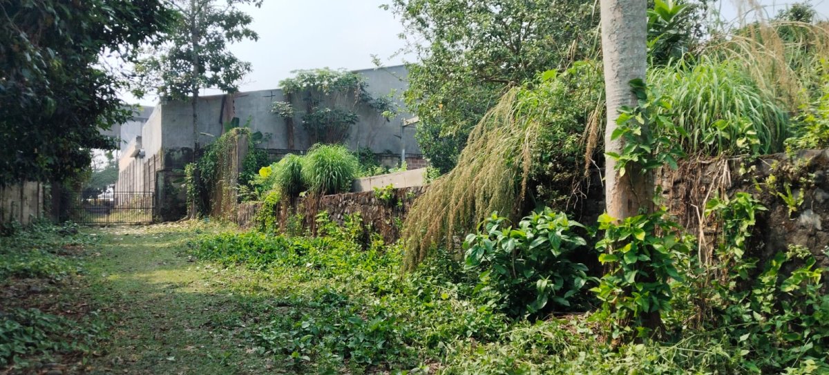 TANAH STRATEGIS DI JL. BARU KEMANG – SHOLEH ISKANDAR, BOGOR - Foto 10