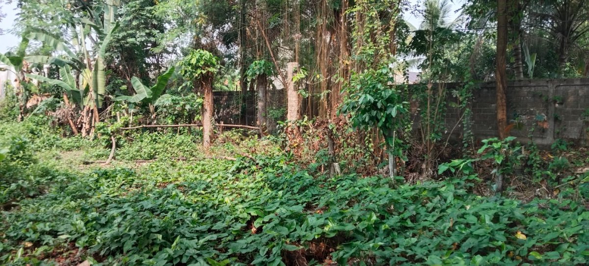 TANAH STRATEGIS DI JL. BARU KEMANG – SHOLEH ISKANDAR, BOGOR - Foto 15