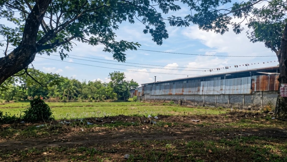 AJB Pabrik Lokasi Ds. Martopuro Kec. Purwosari Pasuruan Jawa Timur - Properti | Harcourts