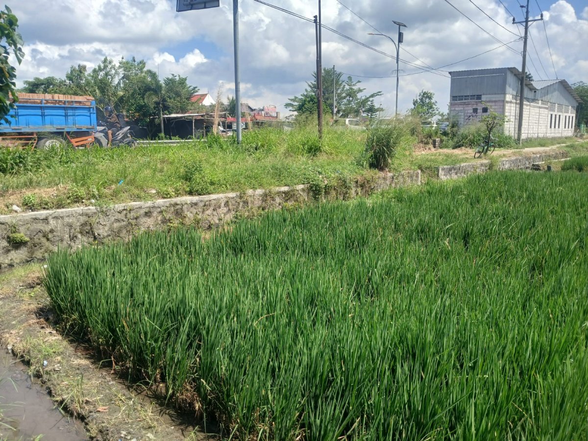 Tanah Kavling Zona Kuning Strategis  di Pakis Daleman, Wonosari, Klaten - Foto 2