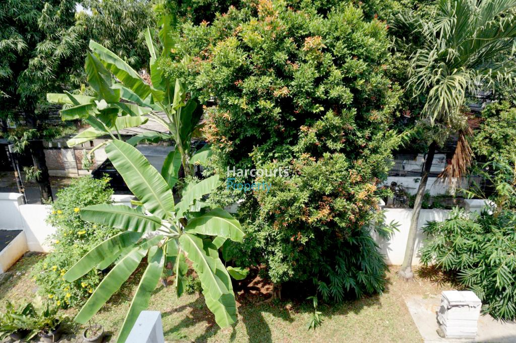 Dijual Cepat Rumah Klasik 2 Lantai di Bawah NJOP Area Bangka - Foto 8