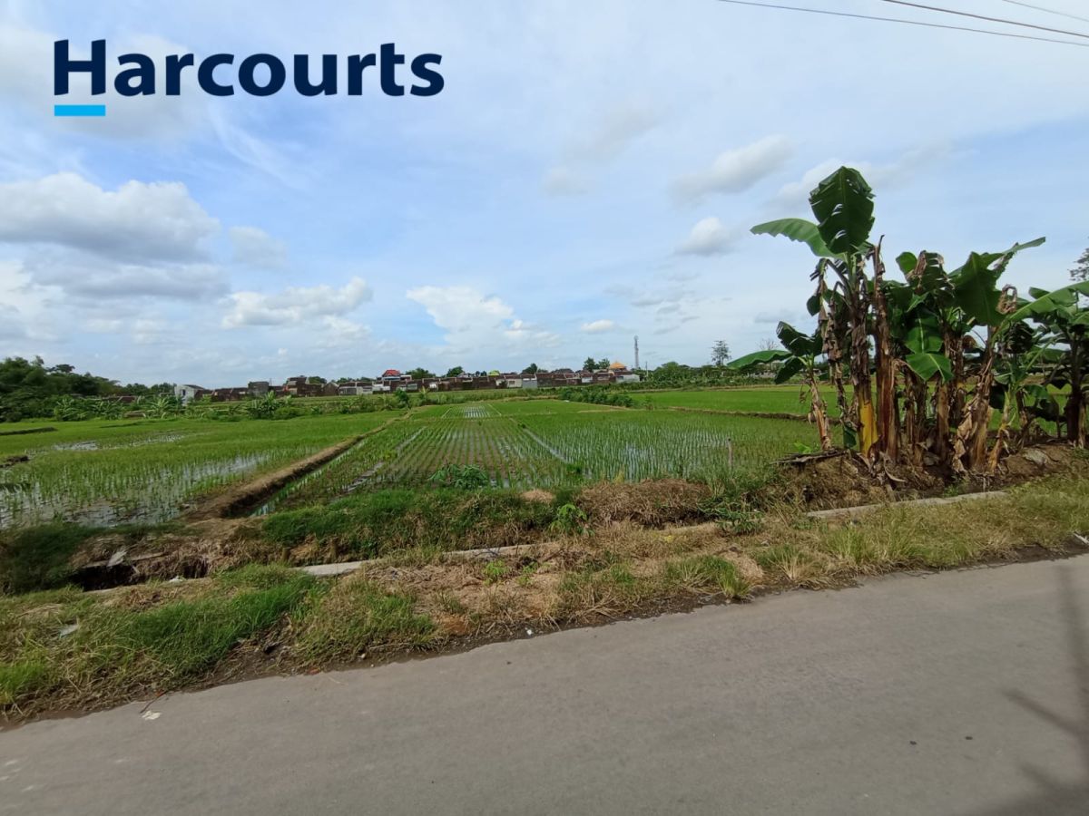 Dijual Cepat! Tanah pekarangan strategis, cocok di bangun u/gudang/perumahan di plumbon mojolaban solo.