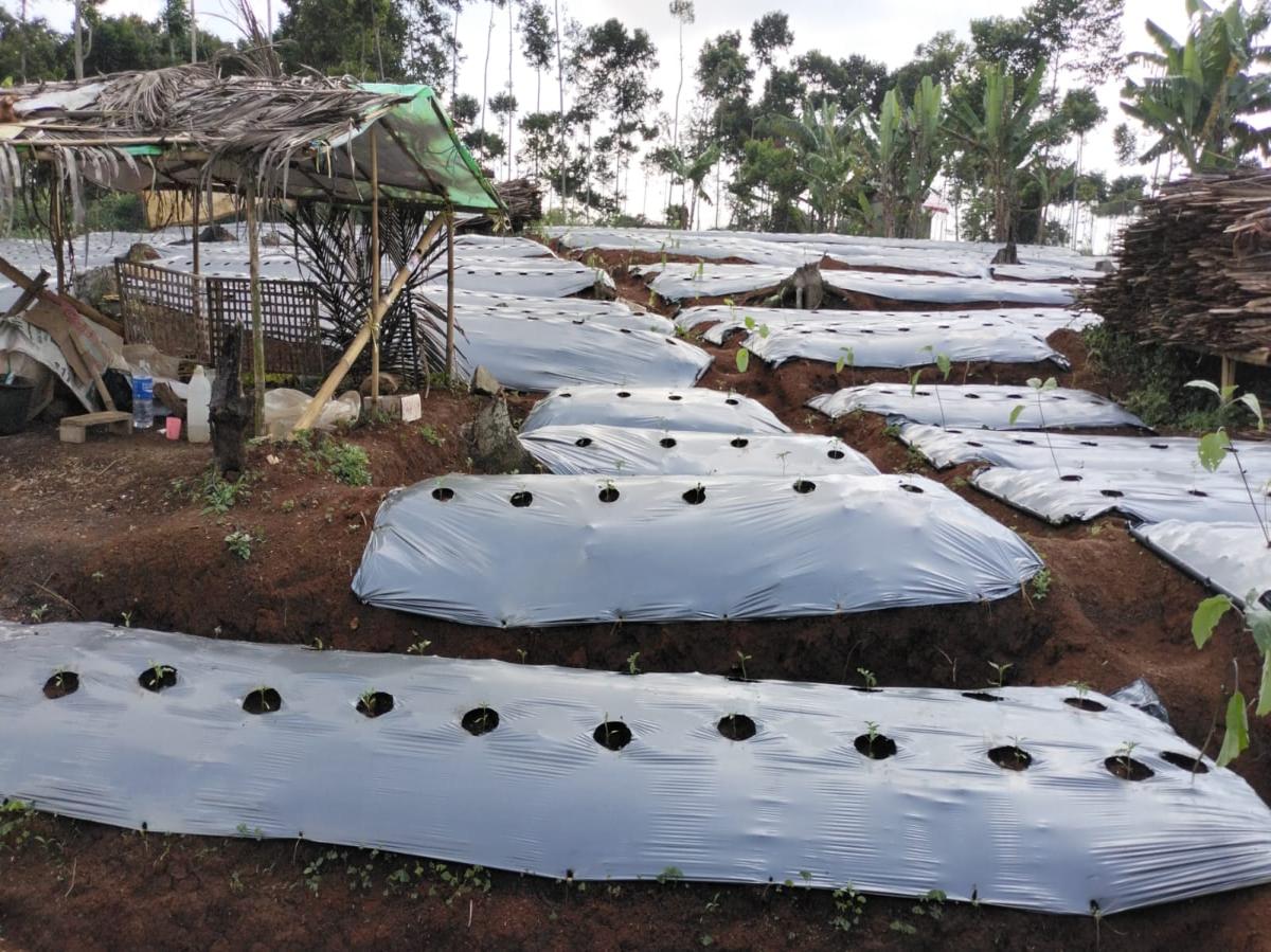 Dijual lahan di Sumedang jawa barat