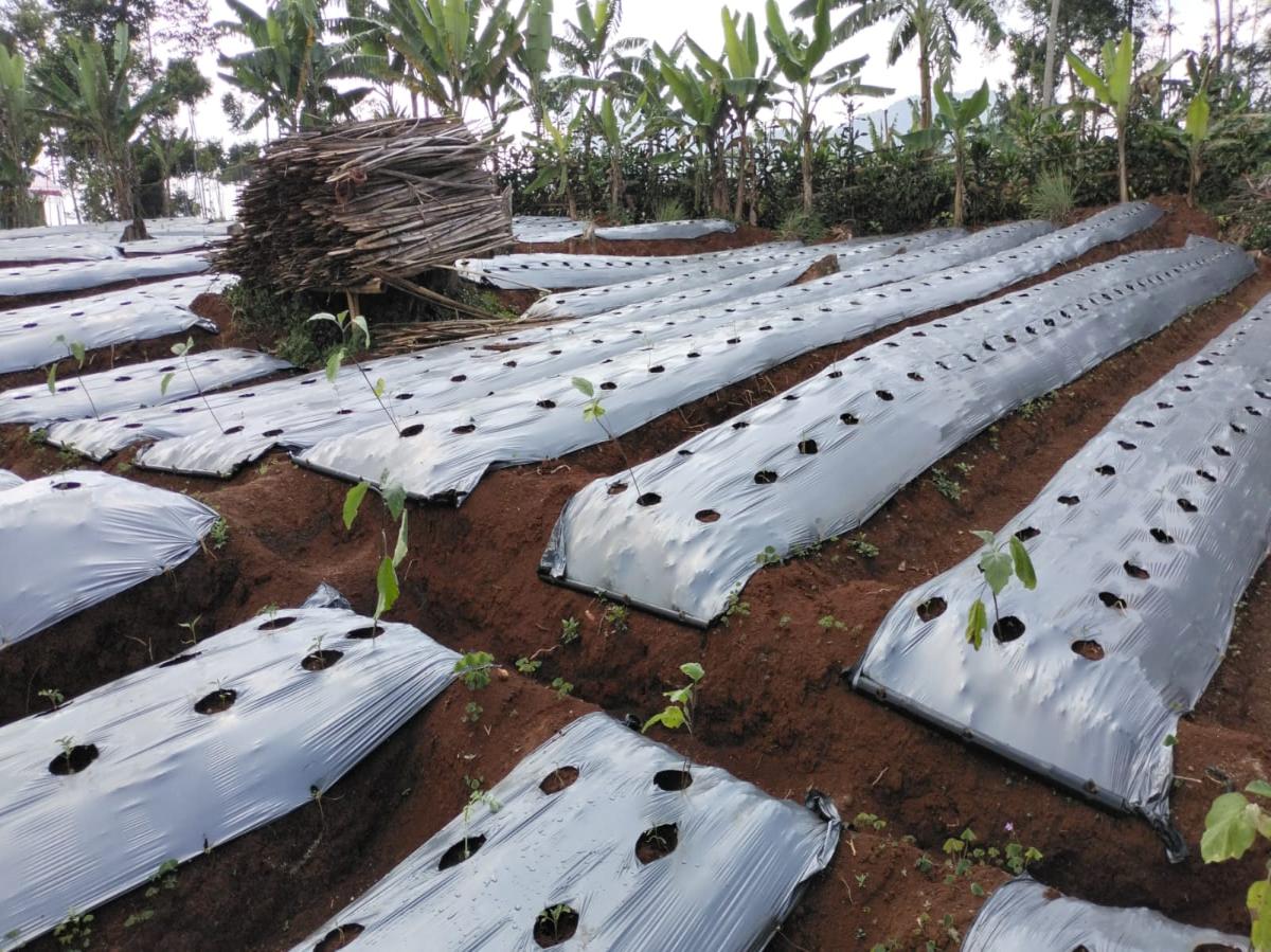 Dijual lahan di Sumedang jawa barat - Foto 6