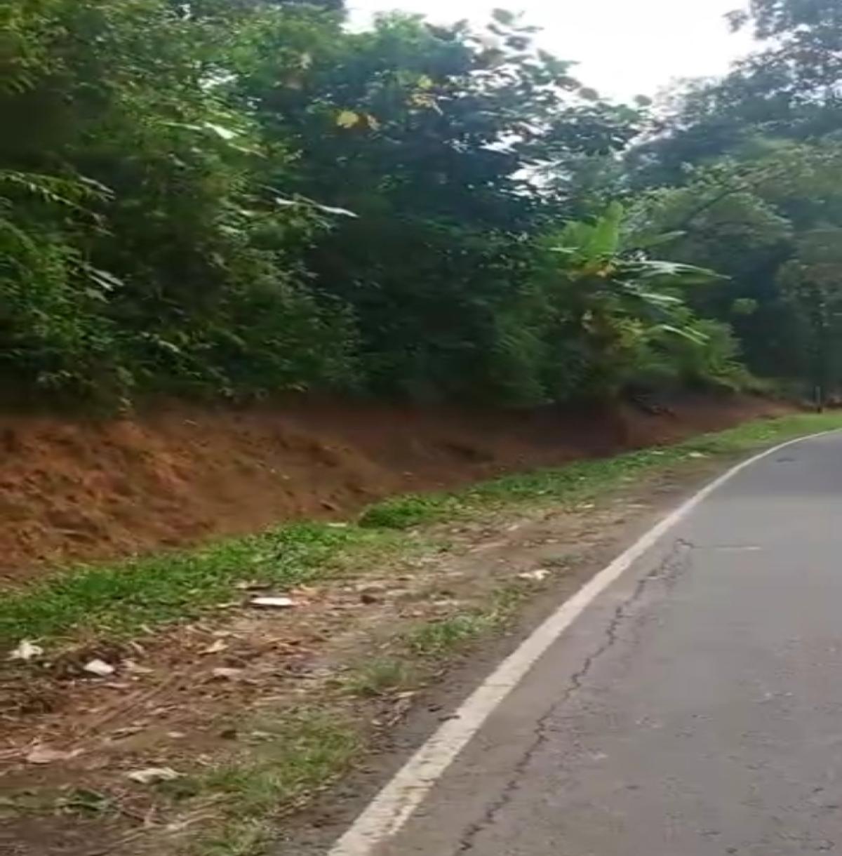 Dijual Tanah dekat Tempat Wisata di Subang Jawa Barat