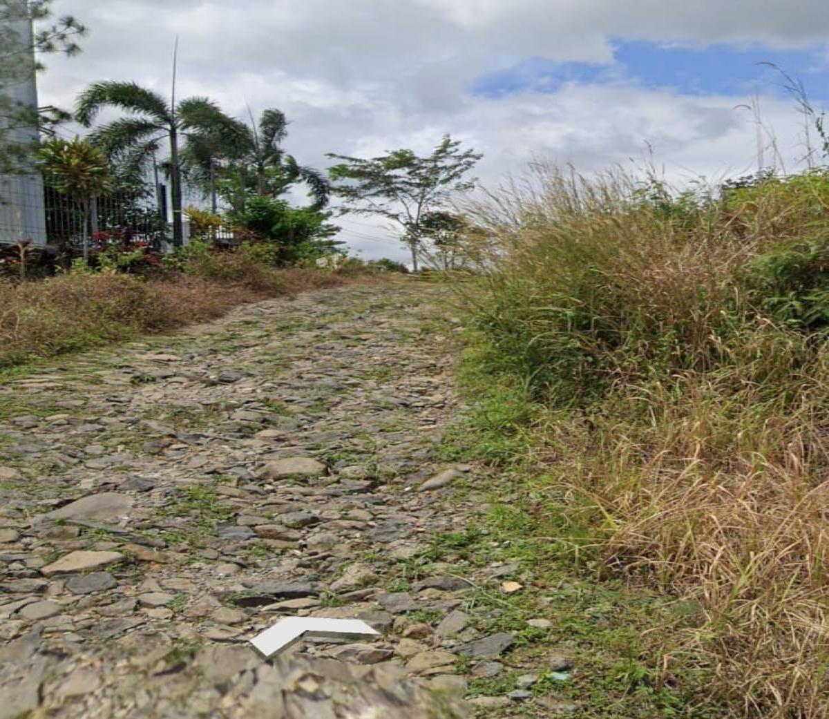 Tanah siap di garap lokasi strategis di daerah sekitar Hambalang - Foto 4