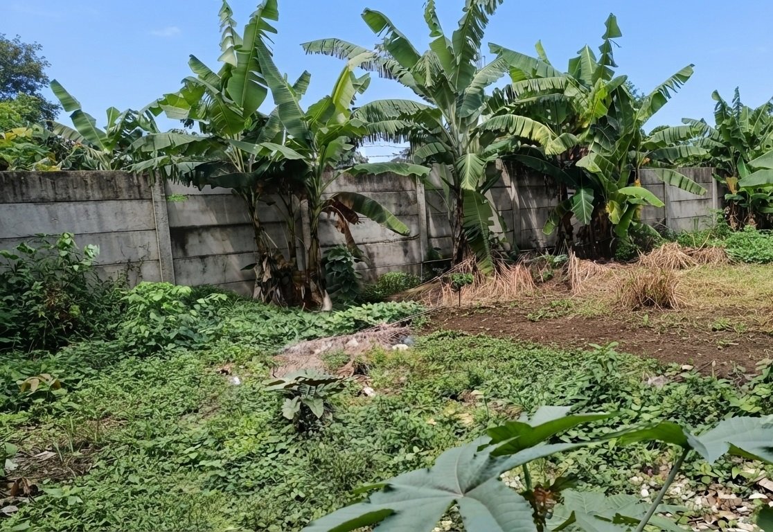 Dijual Tanah Luas 975 m² - 8 Menit dari Exit Toll Jelupang, Tangerang Selatan - Foto 4