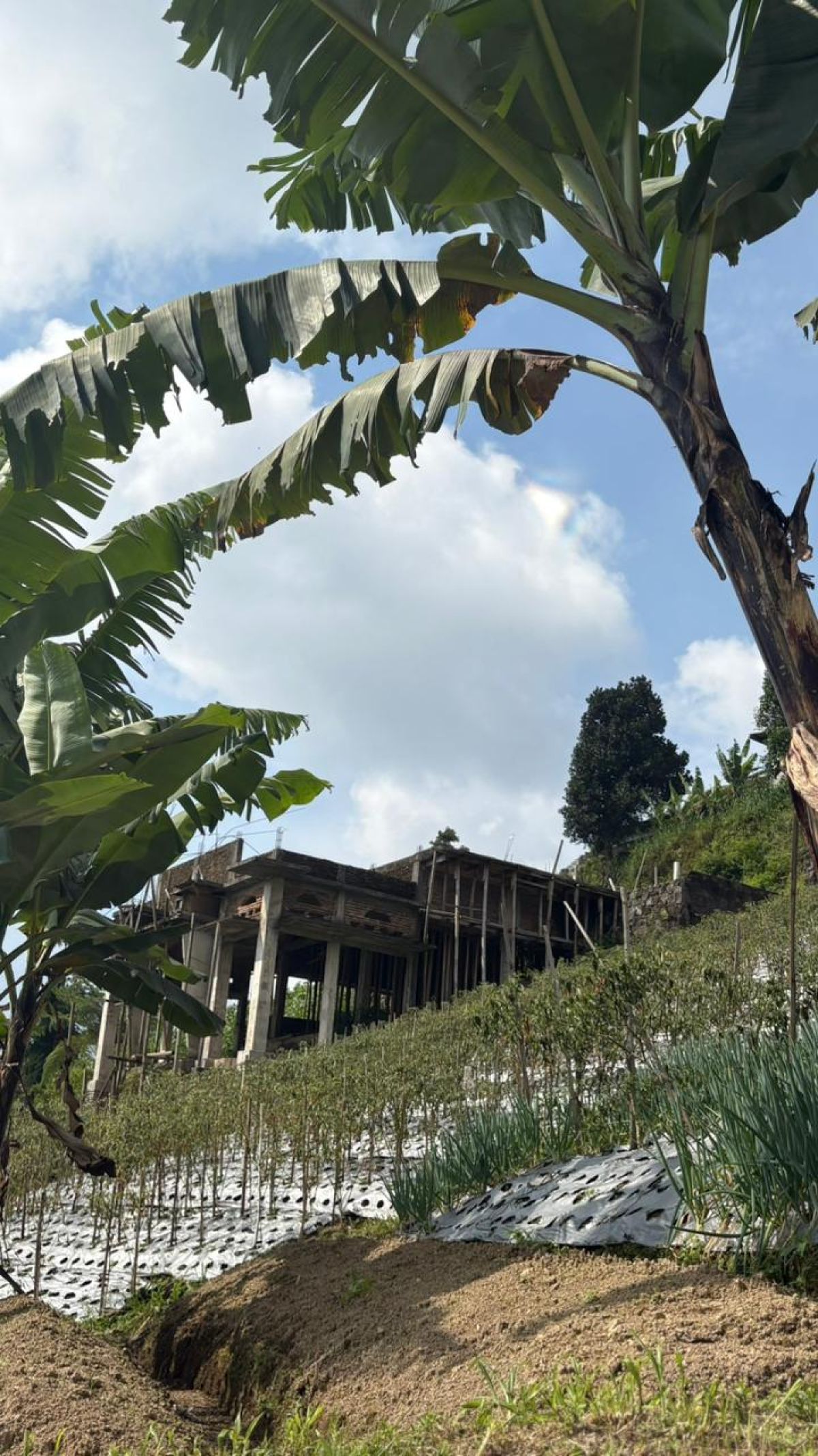 Dijual Tanah Zona Kuning di Kemuning  Cocok untuk Villa, Resort, atau Investasi Wisata