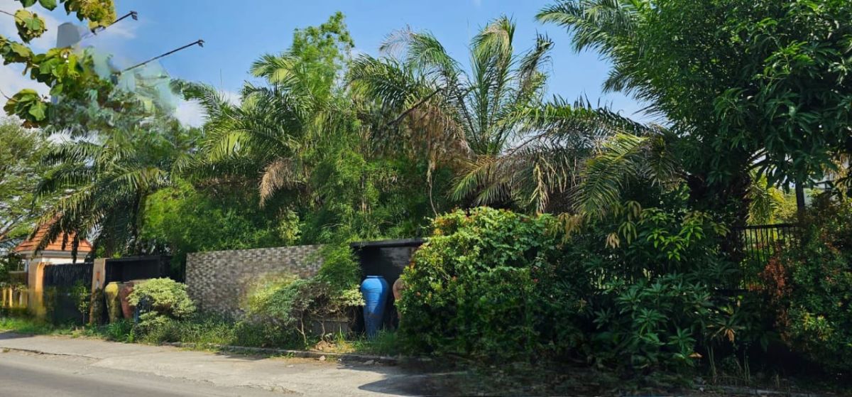 Ruang Usaha Strategis Dekat Pintu Tol Kartasura Solo - Foto 13