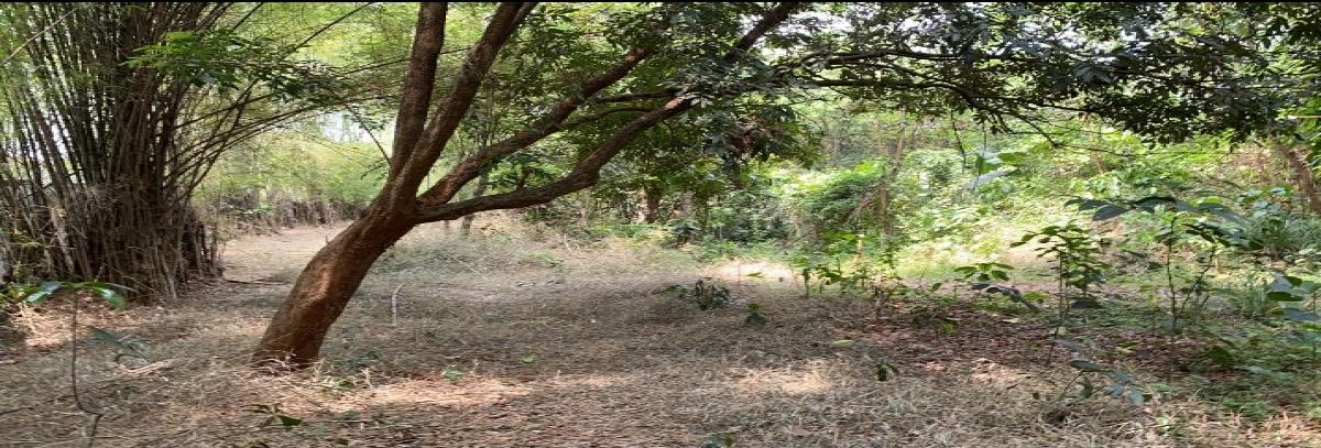 Disewakan atau Jual Tanah Luas 1.600 m² di Jl. Raya Sawangan, Lokasi Strategis!