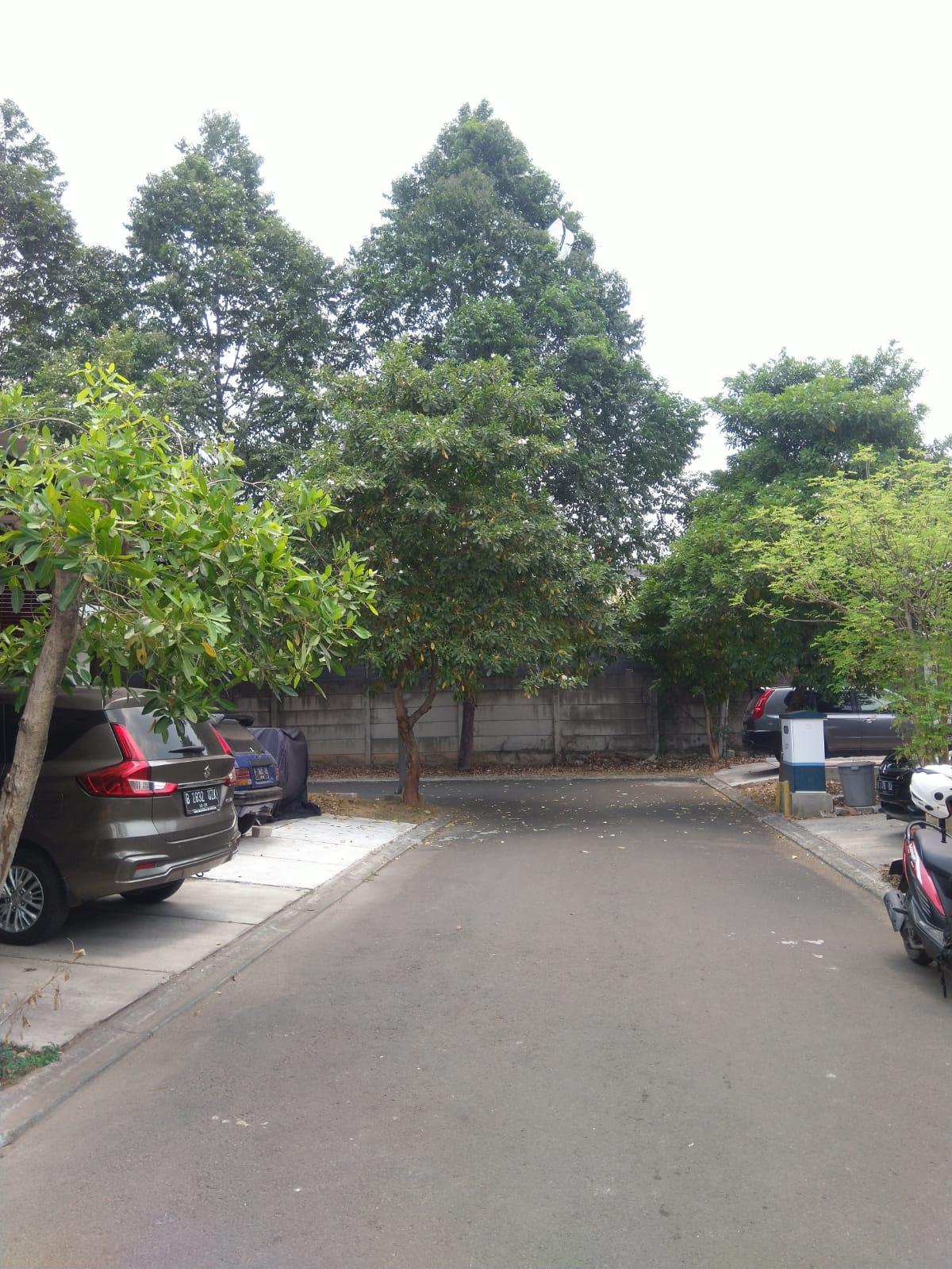 Jual Cepat Rumah 1 Lantai di Graha Raya Cluster Neo Dahlia Loka - Foto 3