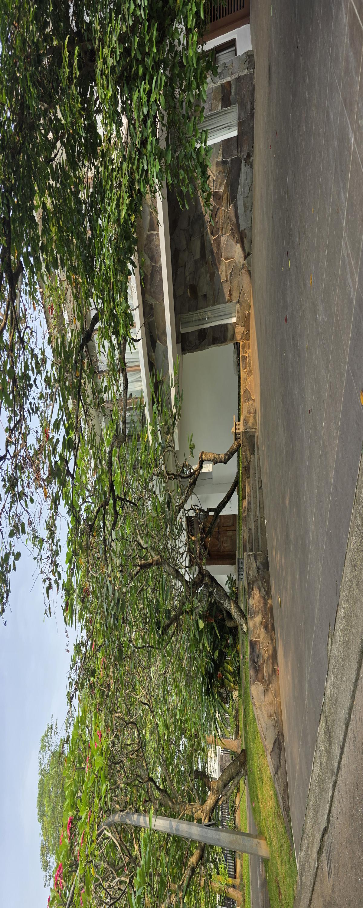 Disewakan rumah tropis dengan swimming pool di Bintaro Jaya Tangerang Selatan - Foto 2