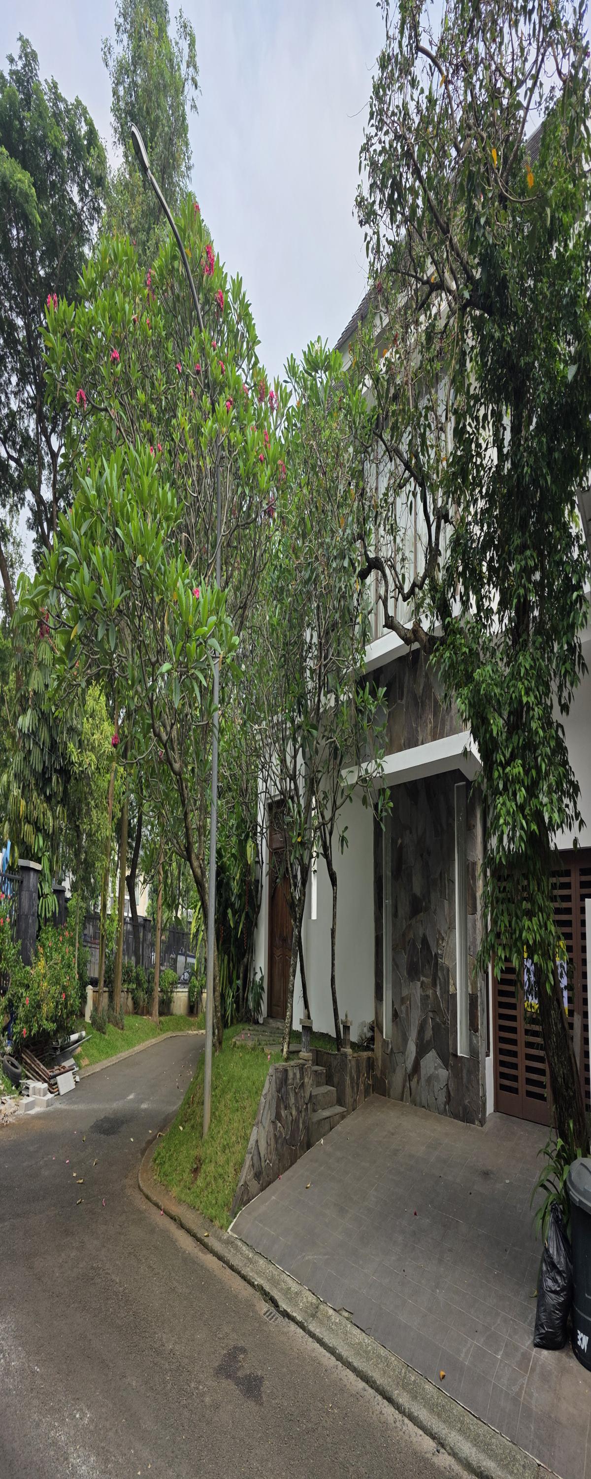 Disewakan rumah tropis dengan swimming pool di Bintaro Jaya Tangerang Selatan - Foto 3