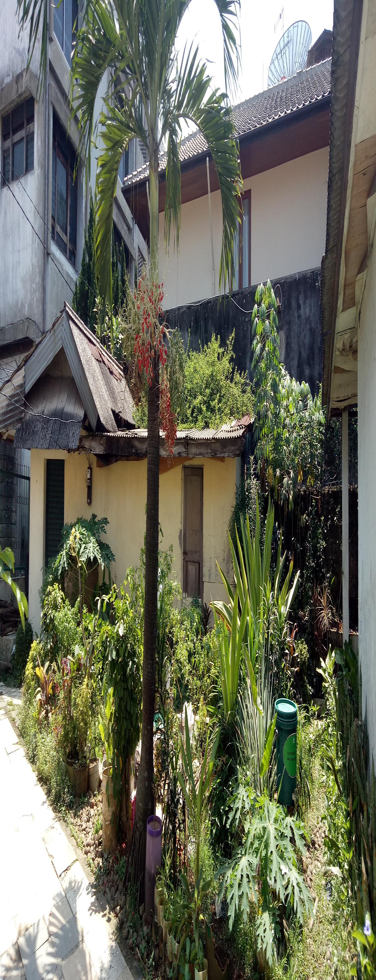 Tanah Dijual 570 Meter Persegi Dapat Bonus Rumah Tak Terawat - Foto 3