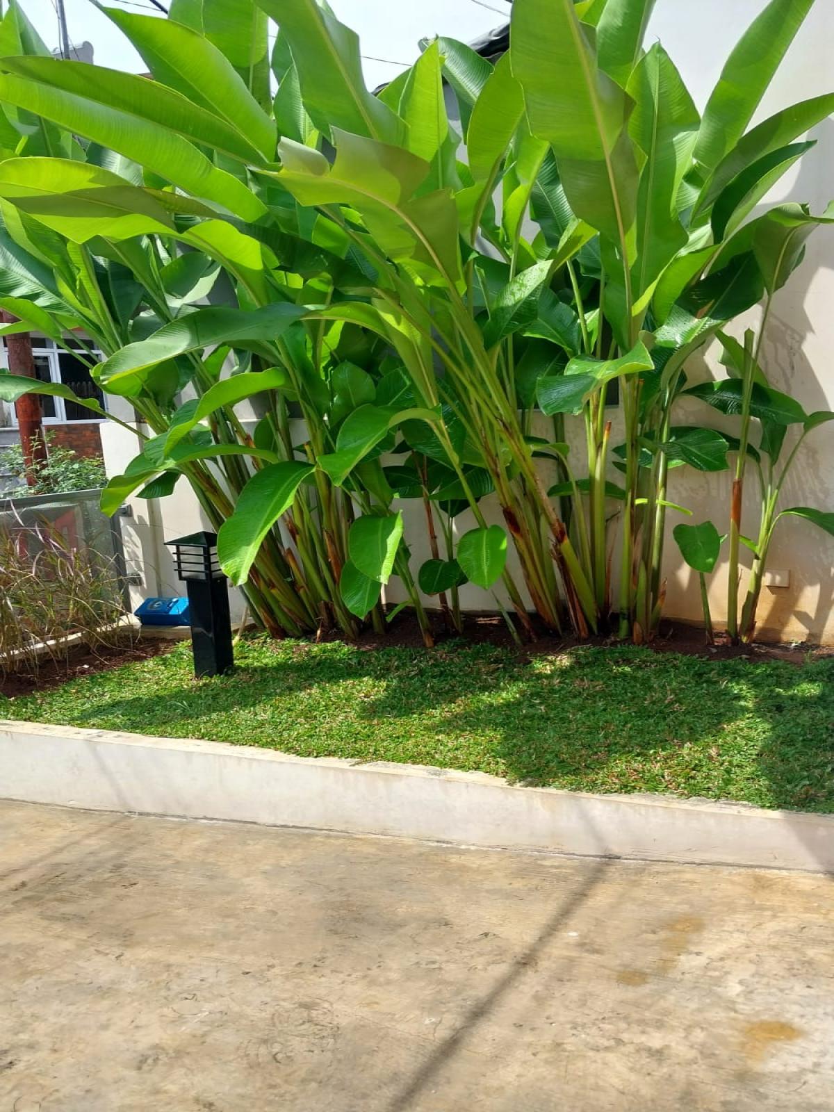 Dijual Rumah Nyaman di Griya Katulampa Bogor – Dekat Tol & Fasilitas Umum - Foto 3