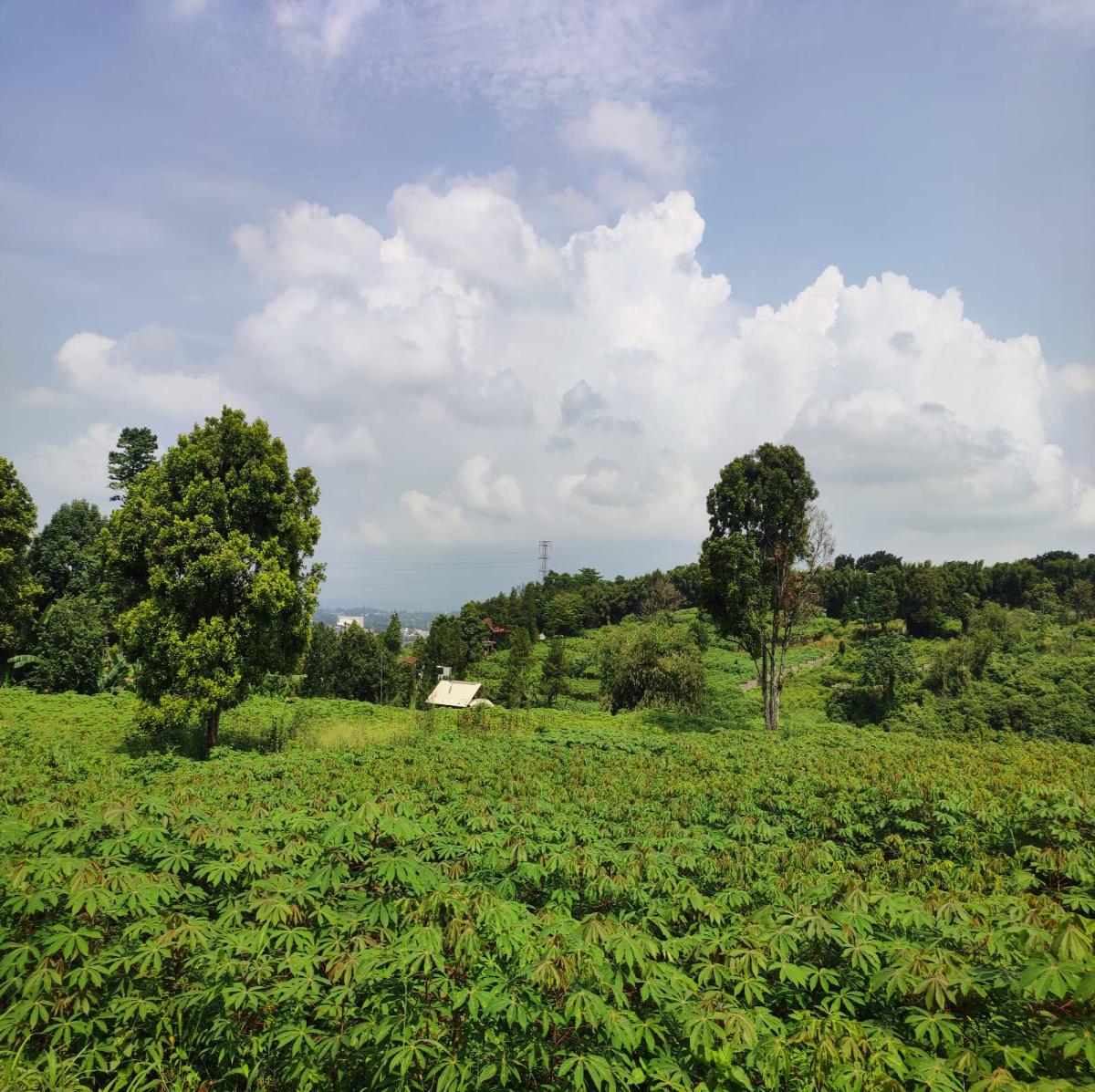 Dijual Tanah View Alam di Cibanon – Cocok untuk Villa, Homestay, atau Kebun - Foto 4