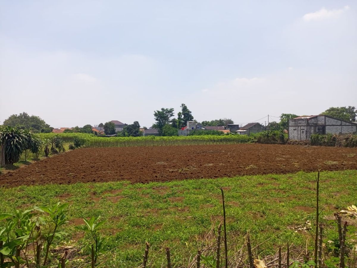 Jual Cepat! Tanah Luas 4.825 M2 di Perumahan Menteng Asri, Strategis!