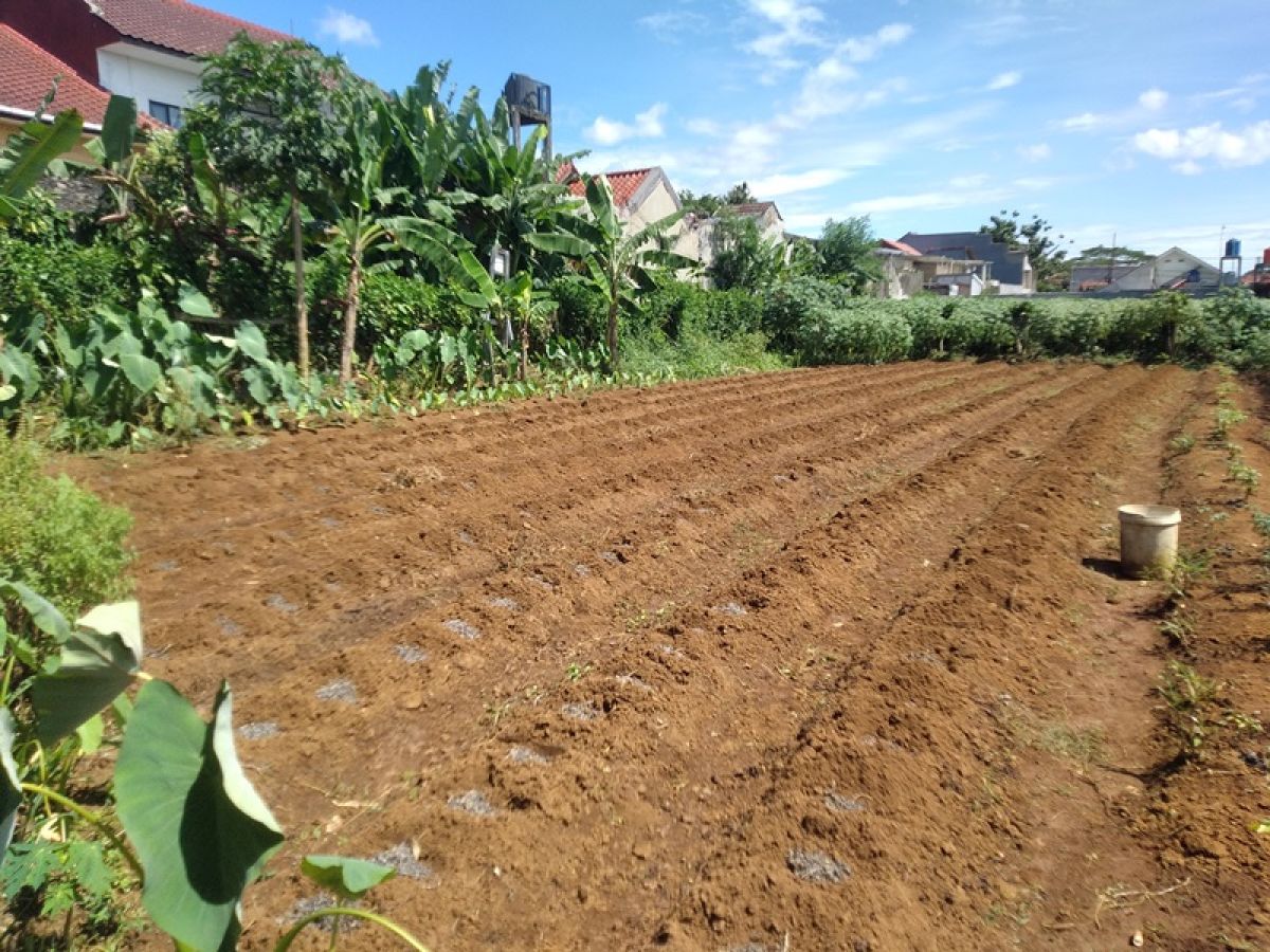 Jual Cepat! Tanah Luas 4.825 M2 di Perumahan Menteng Asri, Strategis! - Foto 2