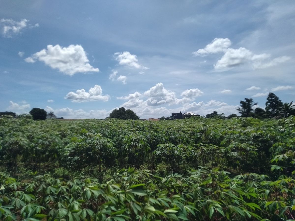 Jual Cepat! Tanah Luas 4.825 M2 di Perumahan Menteng Asri, Strategis! - Foto 7