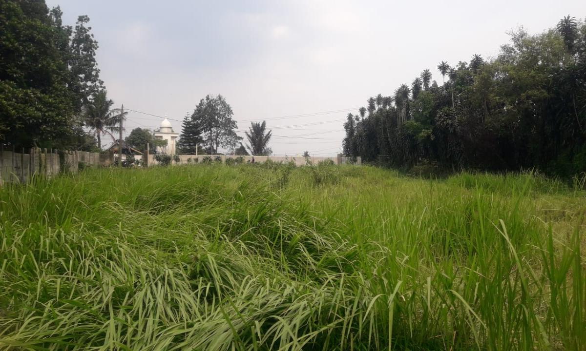 Dijual tanah daerah Kampung Poncol Tanah Seral Bogor Jawa Barat