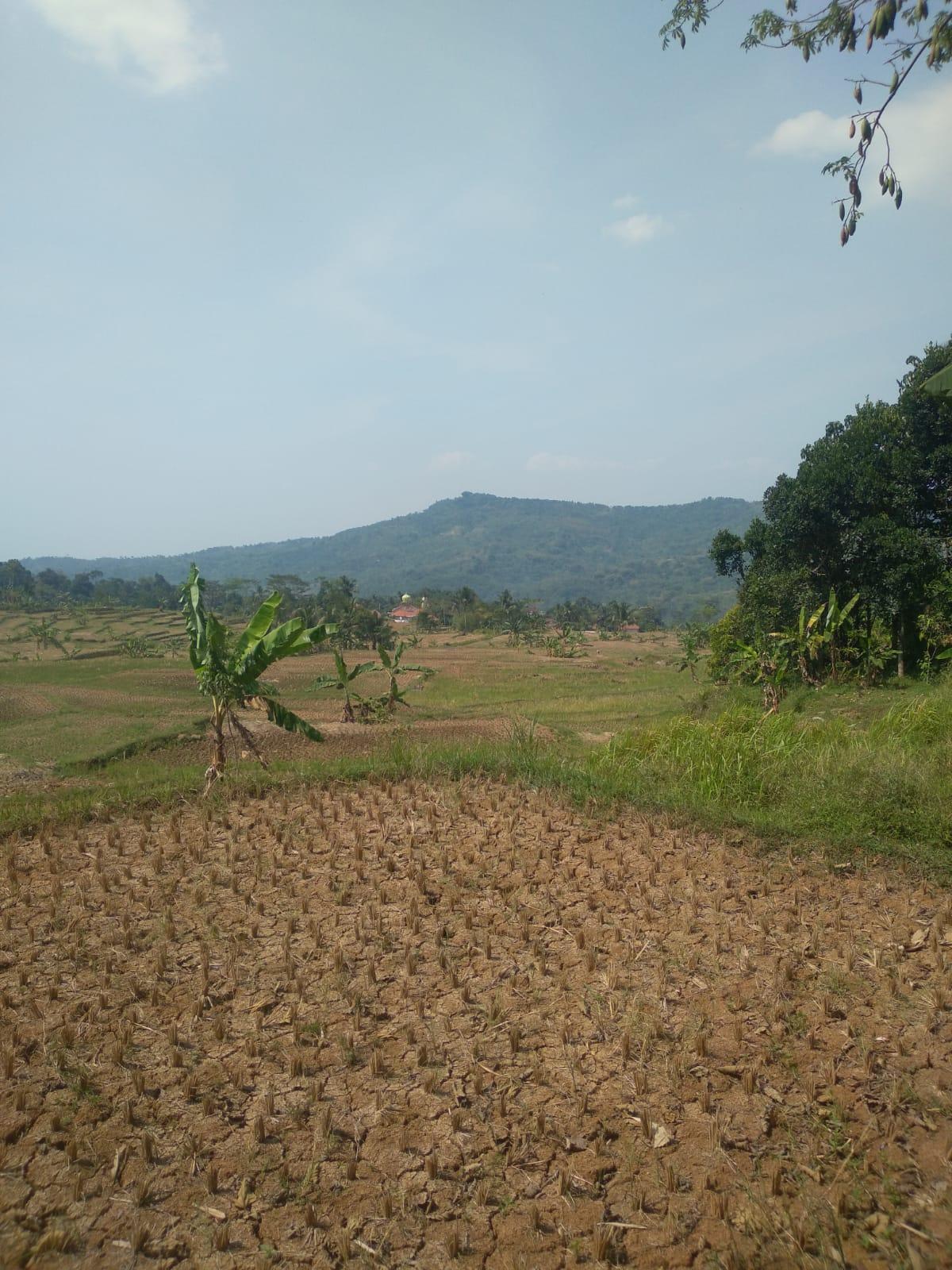 Dijual Tanah Akses Mobil Puncak Bogor Jawa Barat - Foto 2
