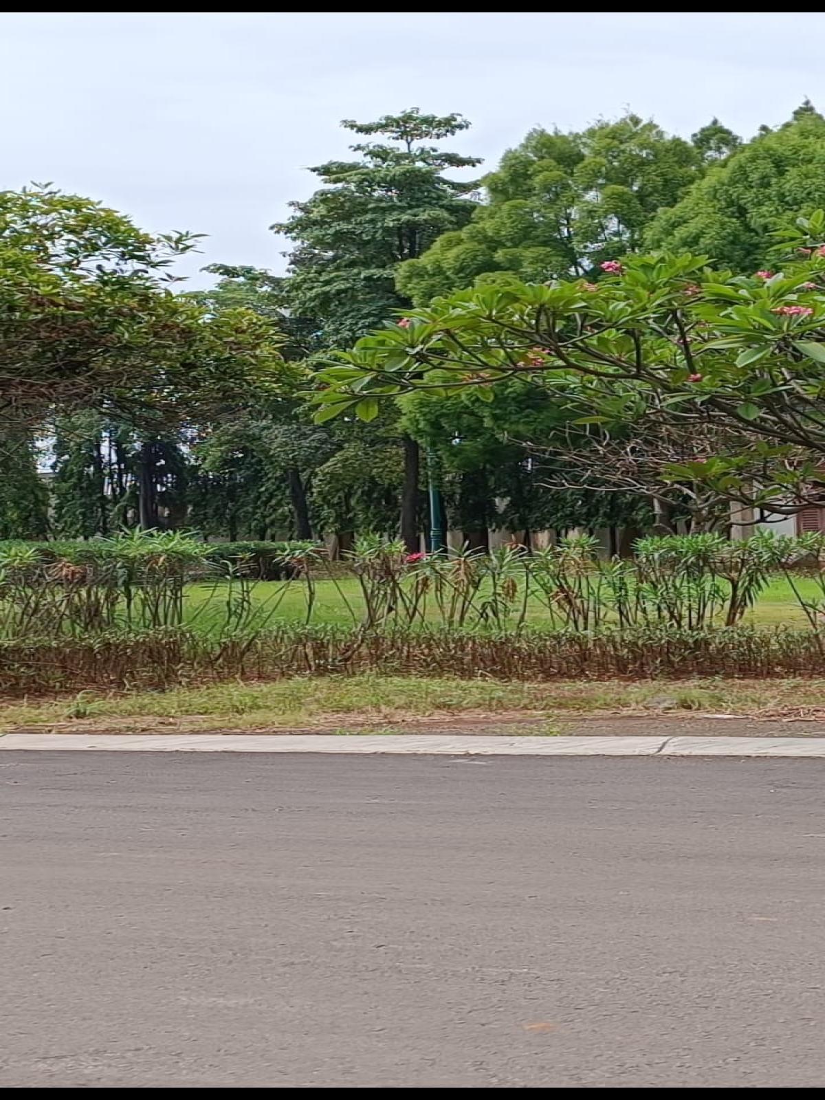 Dijual Tanah Posisi Hoek, Lokasi Di Beverly Golf - Karawaci
