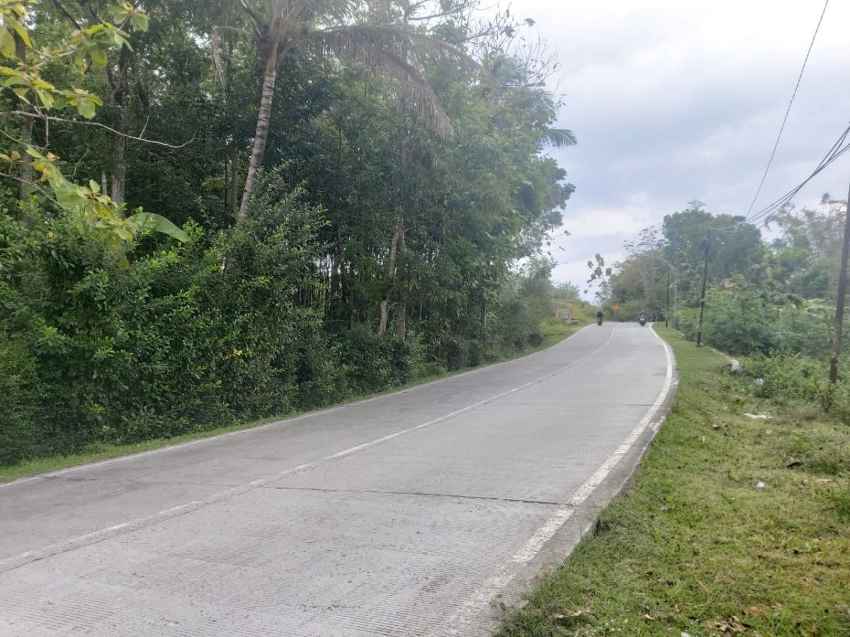 Dijual Tanah Zona Industri, Dekat Boyolali - Foto 2