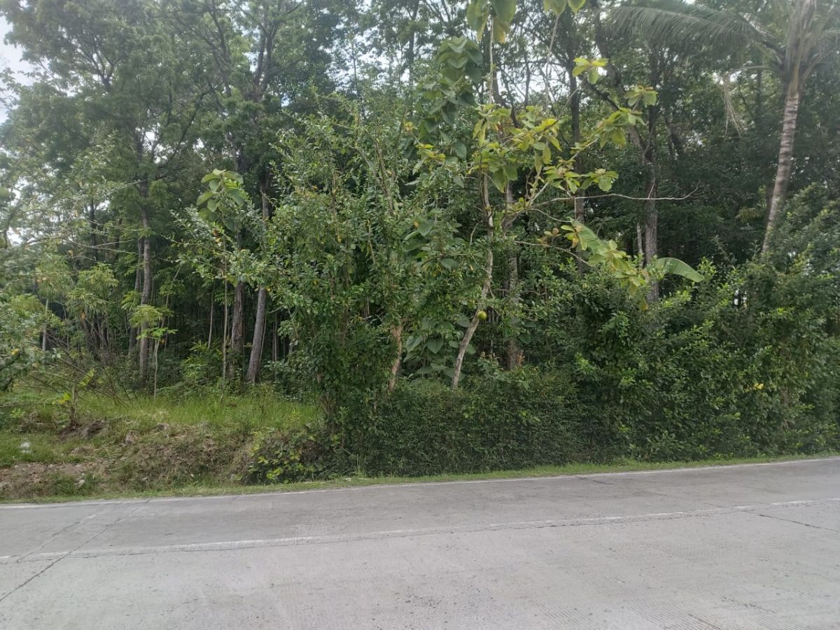 Dijual Tanah Zona Industri, Dekat Boyolali - Foto 5