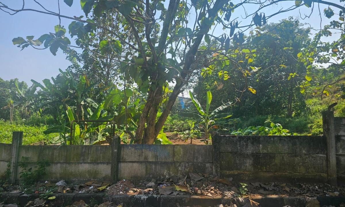 Tanah  Pinggir Jalan  Banyumanik, Semarang Atas  Cocok Untuk Kos  & Homestay - Foto 3