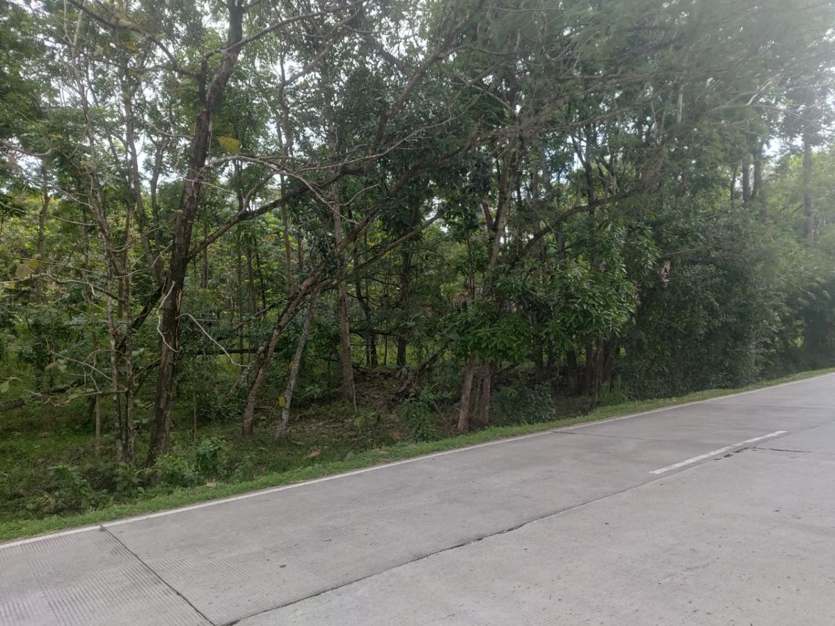 Dijual Tanah Zona Industri Dekat Boyolali