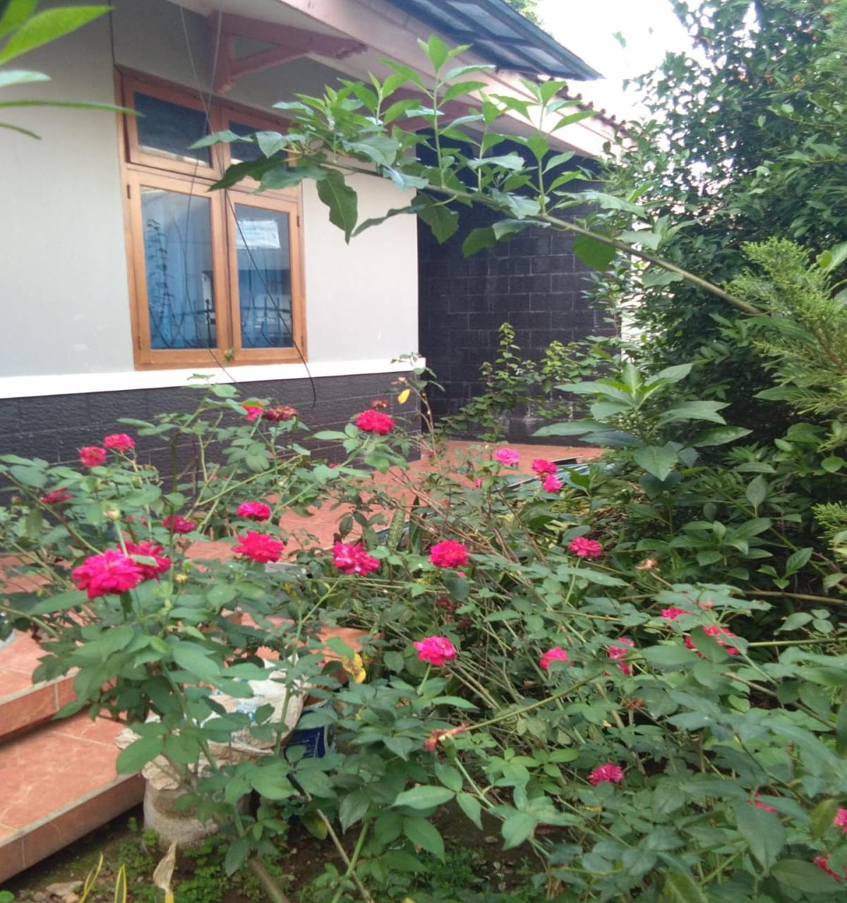 Rumah Kebagusan 3 Jakarta Selatan