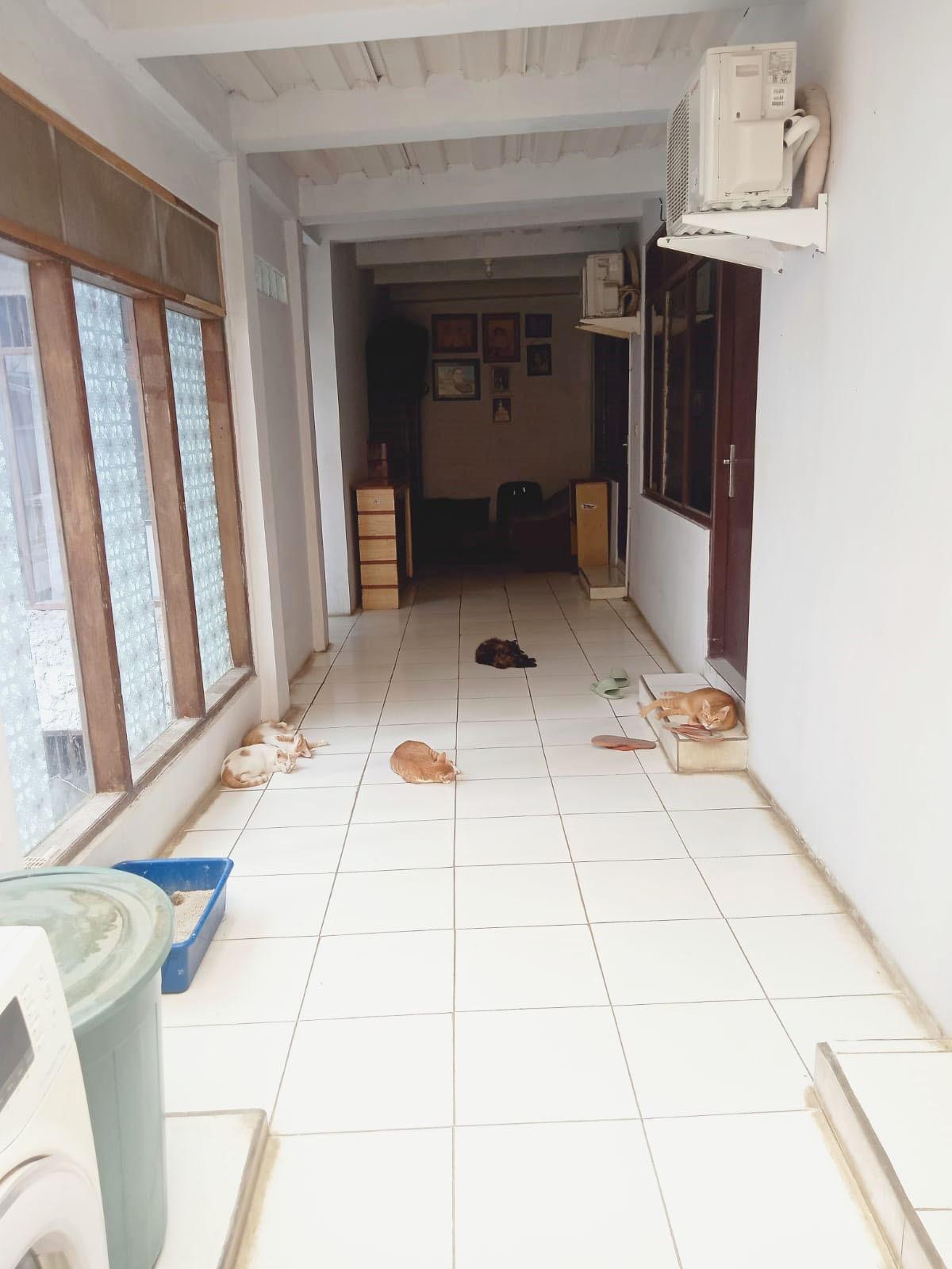 Djual Rumah Pinggir Jalan Menteng Pulo Jakarta Selatan, Cocok Untuk Investasi - Foto 10
