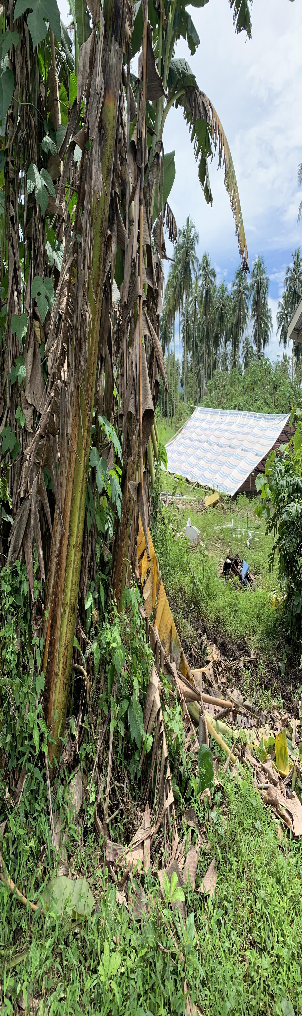 Dijual Tanah 2,7ha premium di Manado - Minahasa Utara - Foto 2