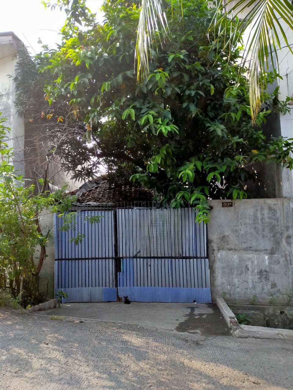 For Sale - Rumah di Pademangan Jakarta Utara (JS)