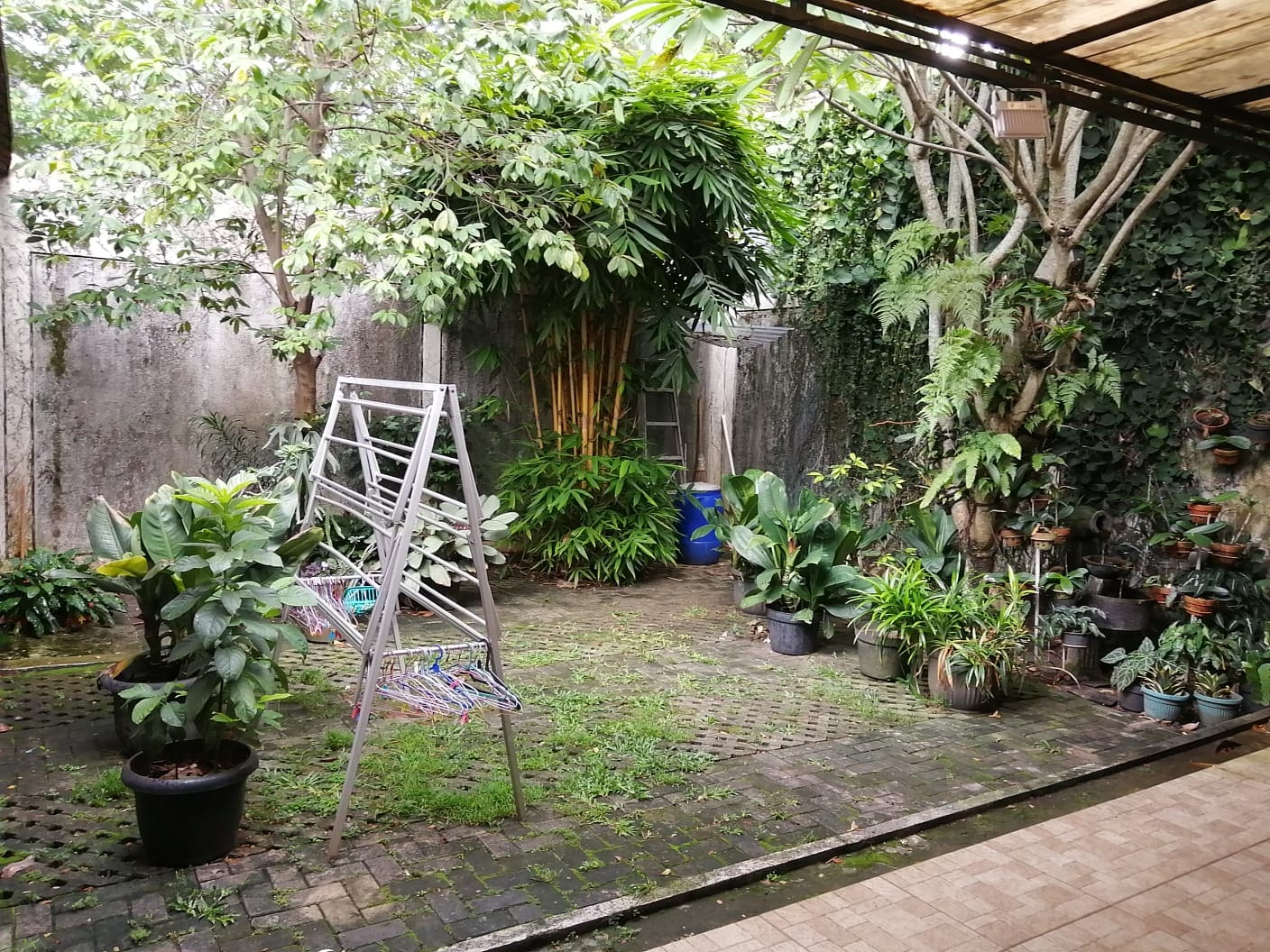 Jual Cepat! Rumah luas 250m2 di Delatinos BSD Tangerang Selatan (RR) - Foto 9