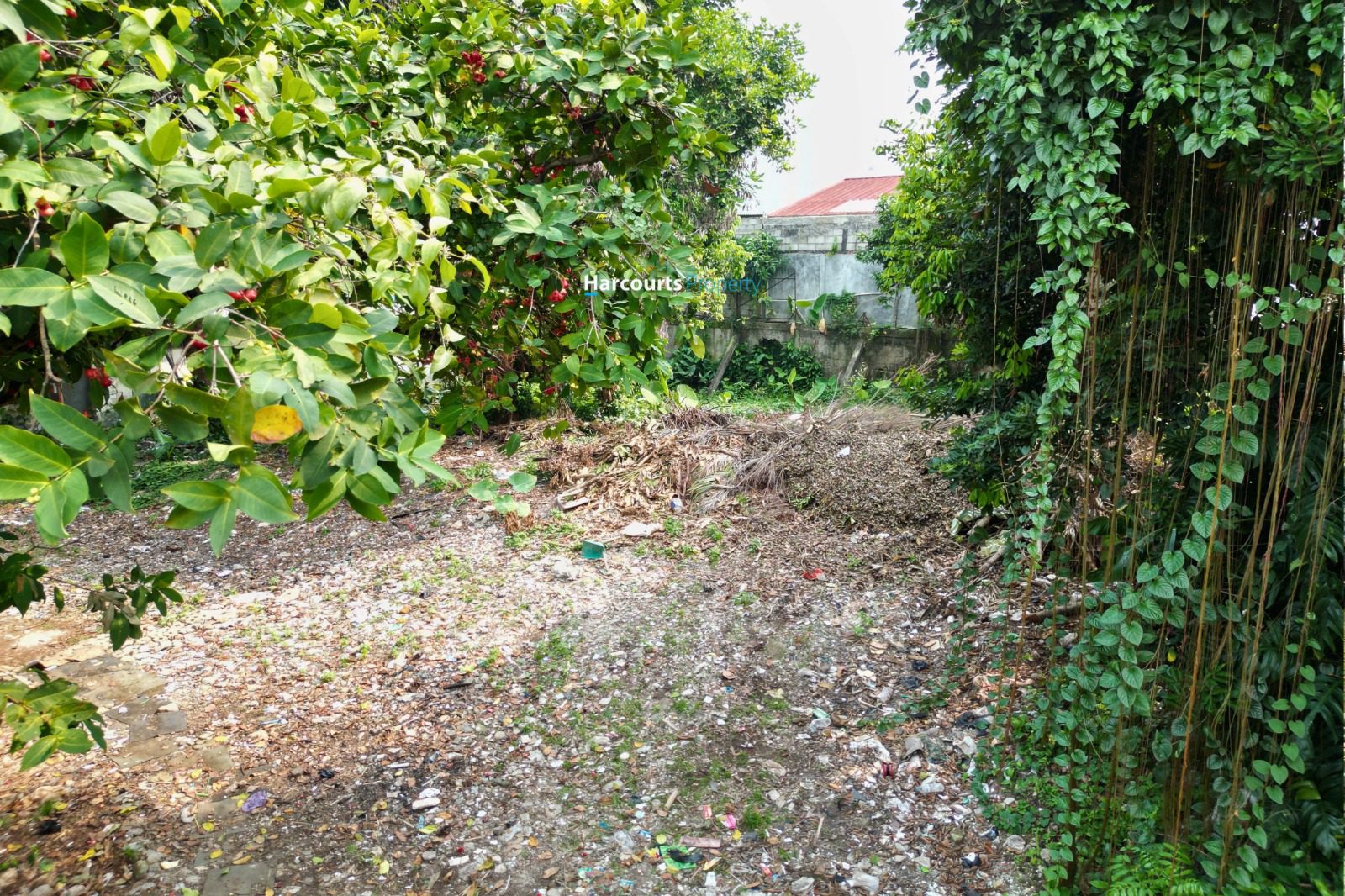 Dijual Tanah Bisa untuk Bangun Rumah Baru Area Kemang - Foto 4