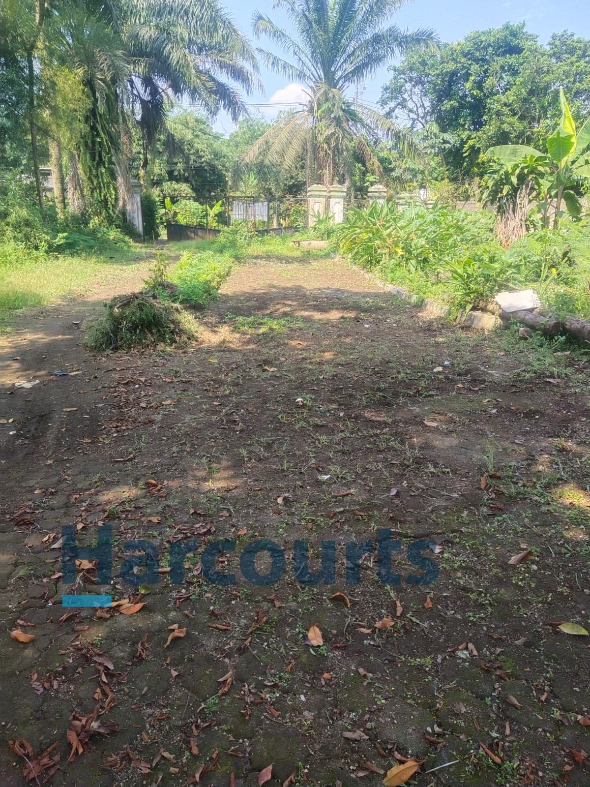 Jual Cepat Tanah setengah hektar lebih di Cibinong Jawa Barat (CR) - Foto 2