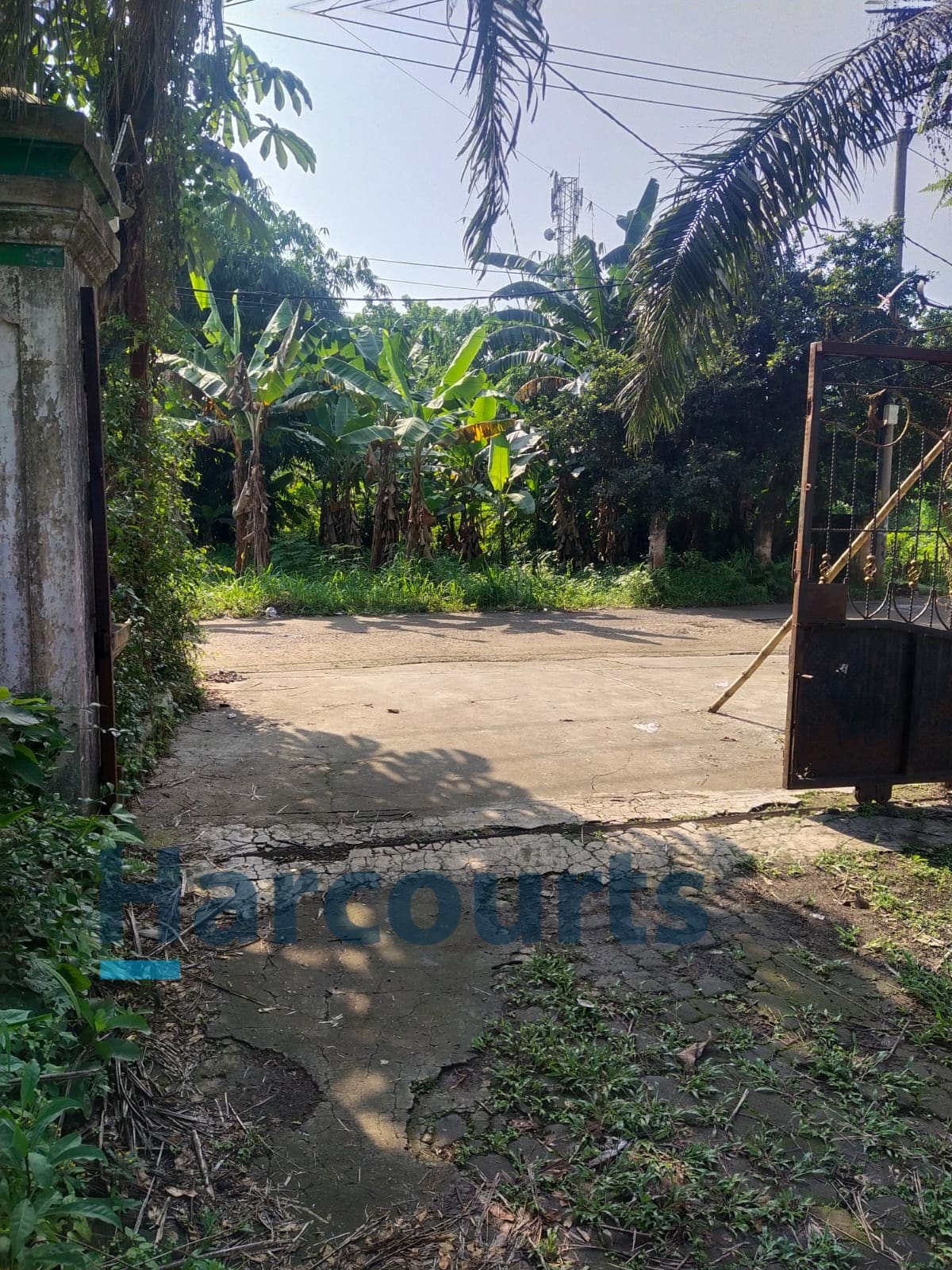 Jual Cepat Tanah setengah hektar lebih di Cibinong Jawa Barat (CR)
