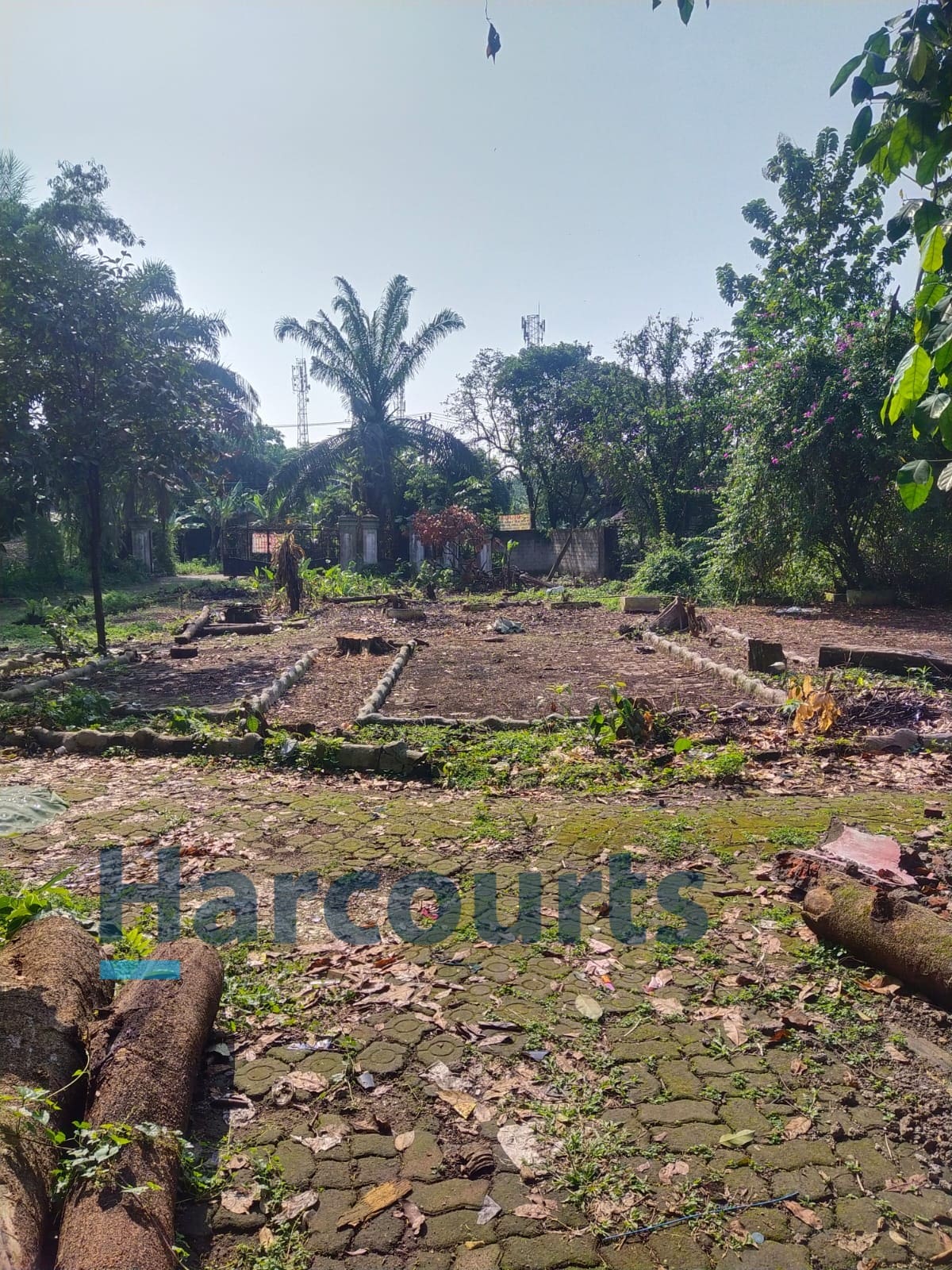 Jual Cepat Tanah setengah hektar lebih di Cibinong Jawa Barat (CR) - Foto 5
