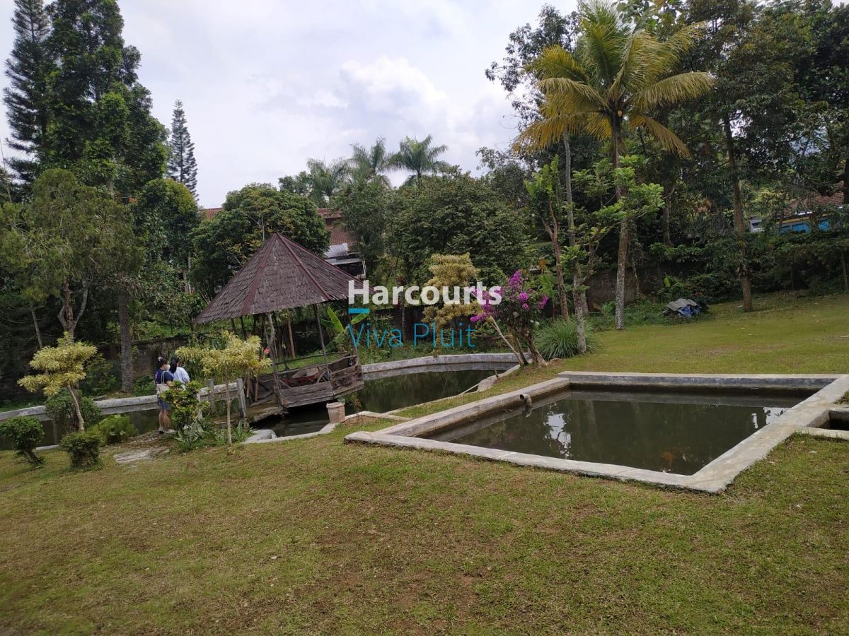Dijual Villa Cisarua Puncak, Bogor. Cocok Untuk Investasi Harga Nego!! - Foto 3