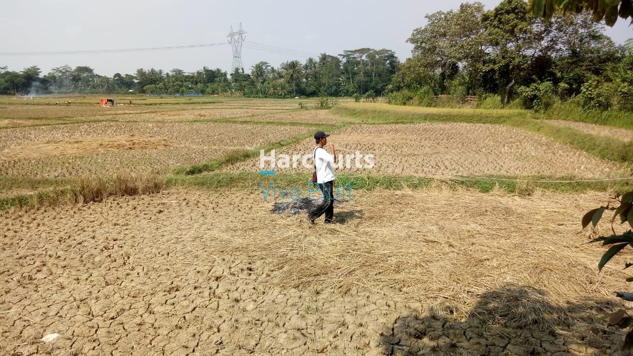 Jual Tanah Darat Sawah di Jl. Pamarayan Wirana Damping, Serang