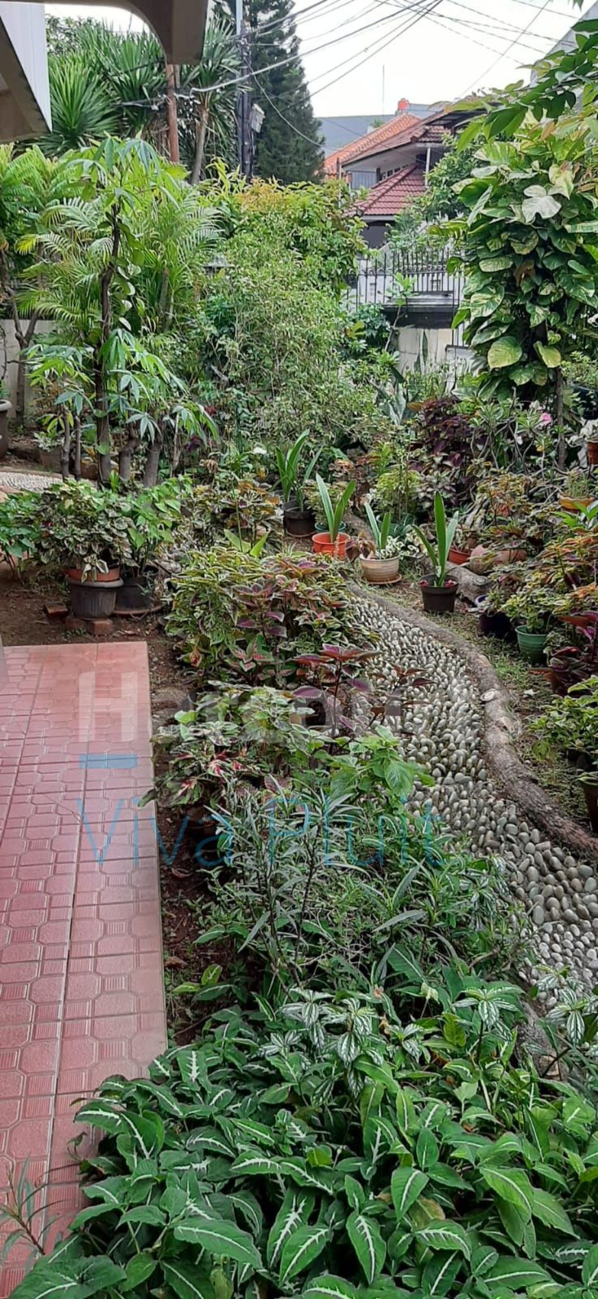 Rumah Jl. Duta Raya, Duri Kepa, Jakarta Barat. Siap Huni Murah!! - Foto 3
