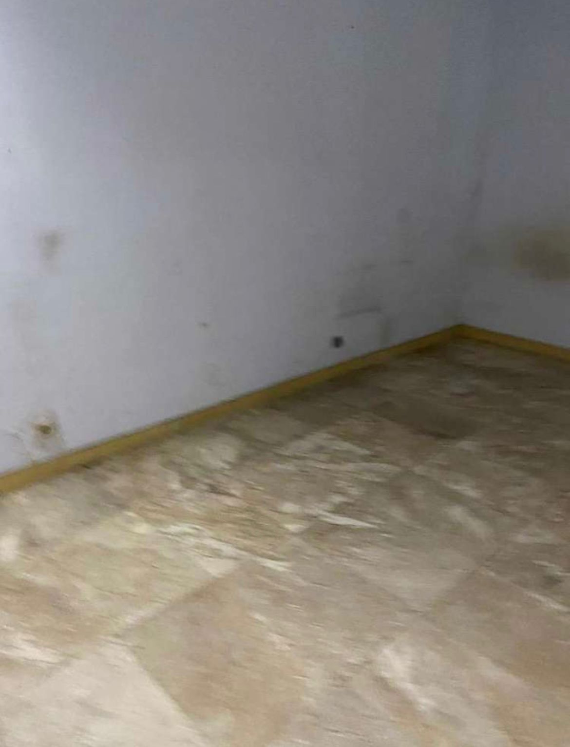 Sewa Cepat Rumah luas 250m2 di Cideng, Jakarta Pusat (CR) - Foto 7