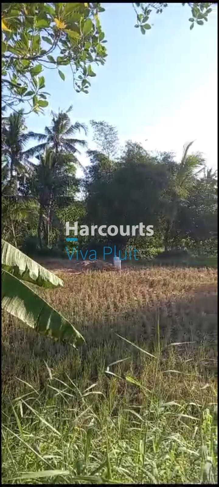 Dijual Tanah Jl. Raya Krasan, Badung, Bali. Lokasi Strategis, Harga Nego - Foto 4