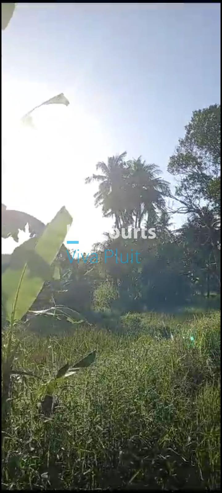 Dijual Tanah Jl. Raya Krasan, Badung, Bali. Lokasi Strategis, Harga Nego - Foto 5