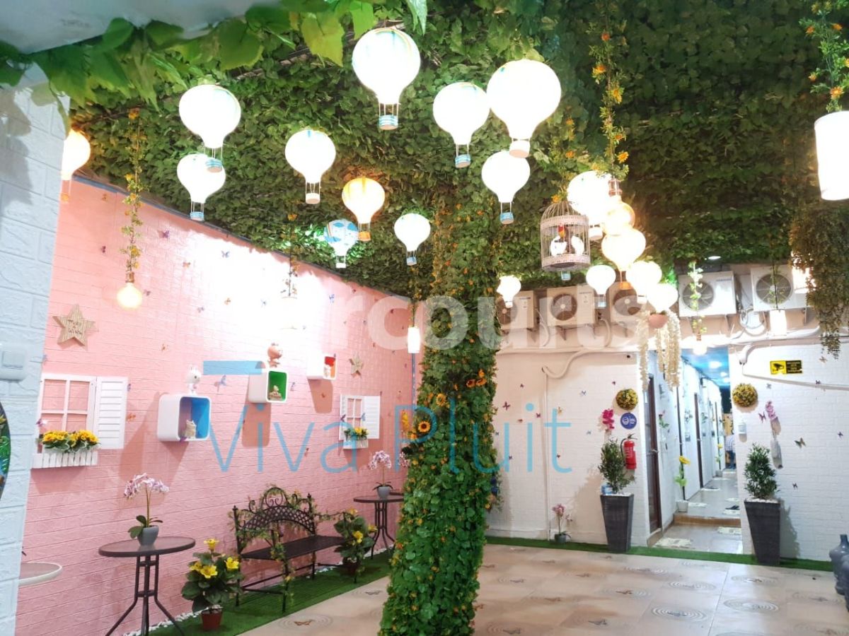 Rumah Kos Jl. Kramat Lontar, Senen, Jakarta Pusat. Cocok Untuk Investasi - Foto 2