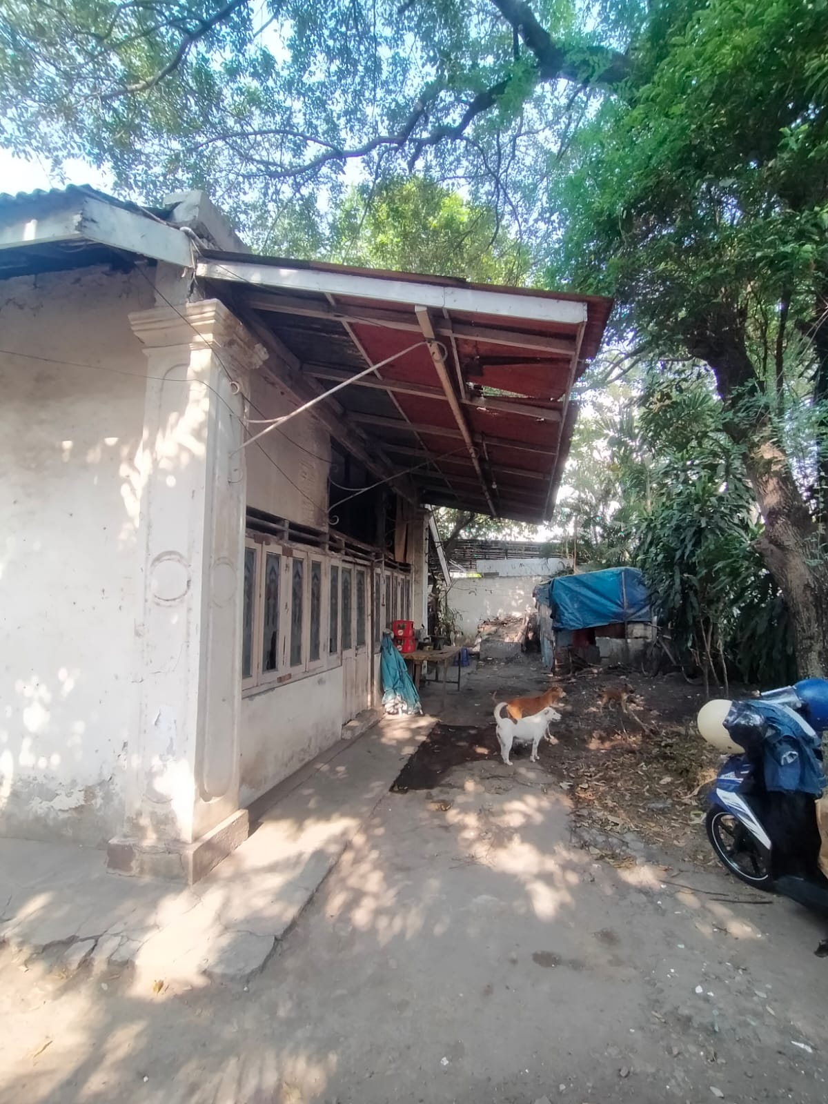 Dijual Rumah Tua Hitung Tanah Di Petojo Selatan Gambir Jakarta Pusat Bebas Banjir (SW) - Foto 4