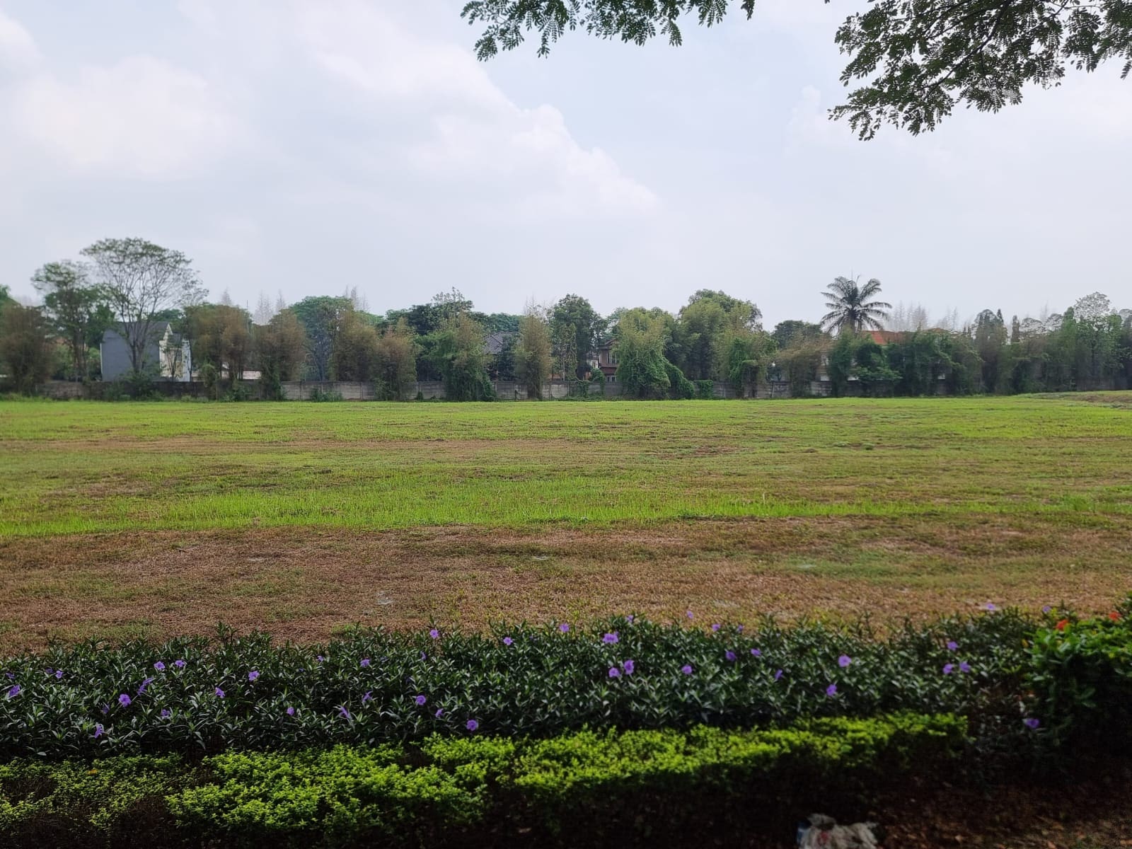 Disewakan kavling Tanah di jalan raya bulevard Suvarna Sutera Cikupa Tangerang (RR)
